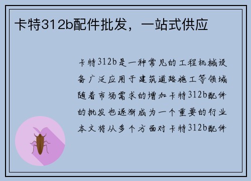 卡特312b配件批发，一站式供应